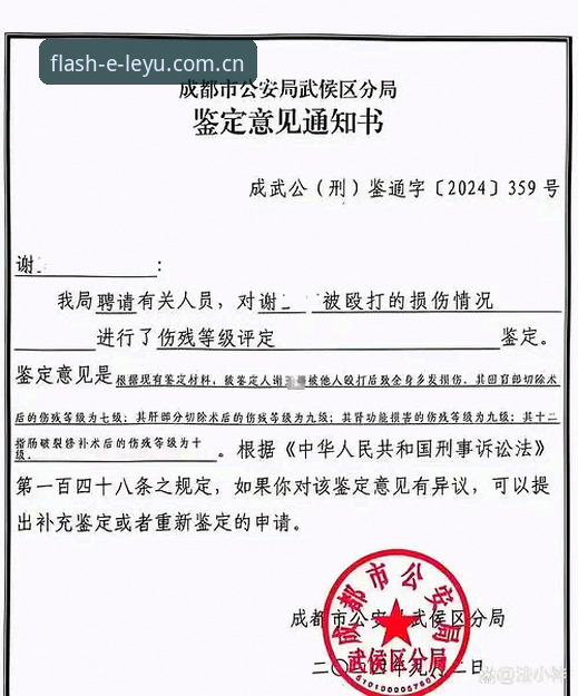 判罚如数据刷新：马宁的“零干扰”哲学vs球迷的“滤镜式”评价——从乐鱼体育官网一场对话看裁判与观众的真实距离